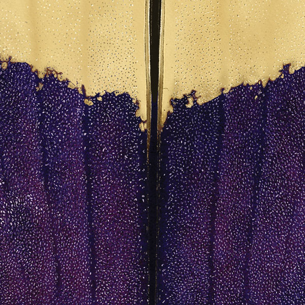 Close up showing the pitted surface of the elytra