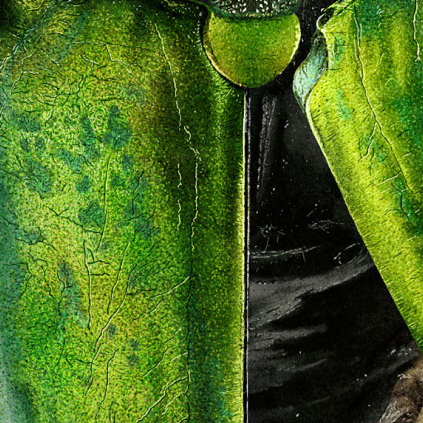 Close up showing detail of the elytra - a shimmering green colour