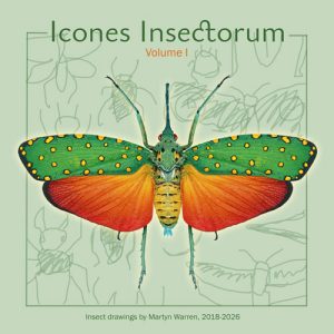 A front cover mockup showing a drawing of a lantern bug on a green background, with the book titled 'Icones Insectorum'